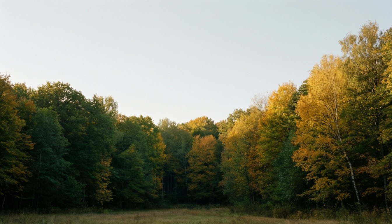 20 settembre