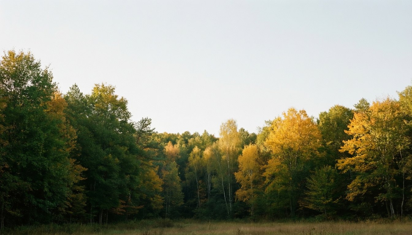 8 settembre