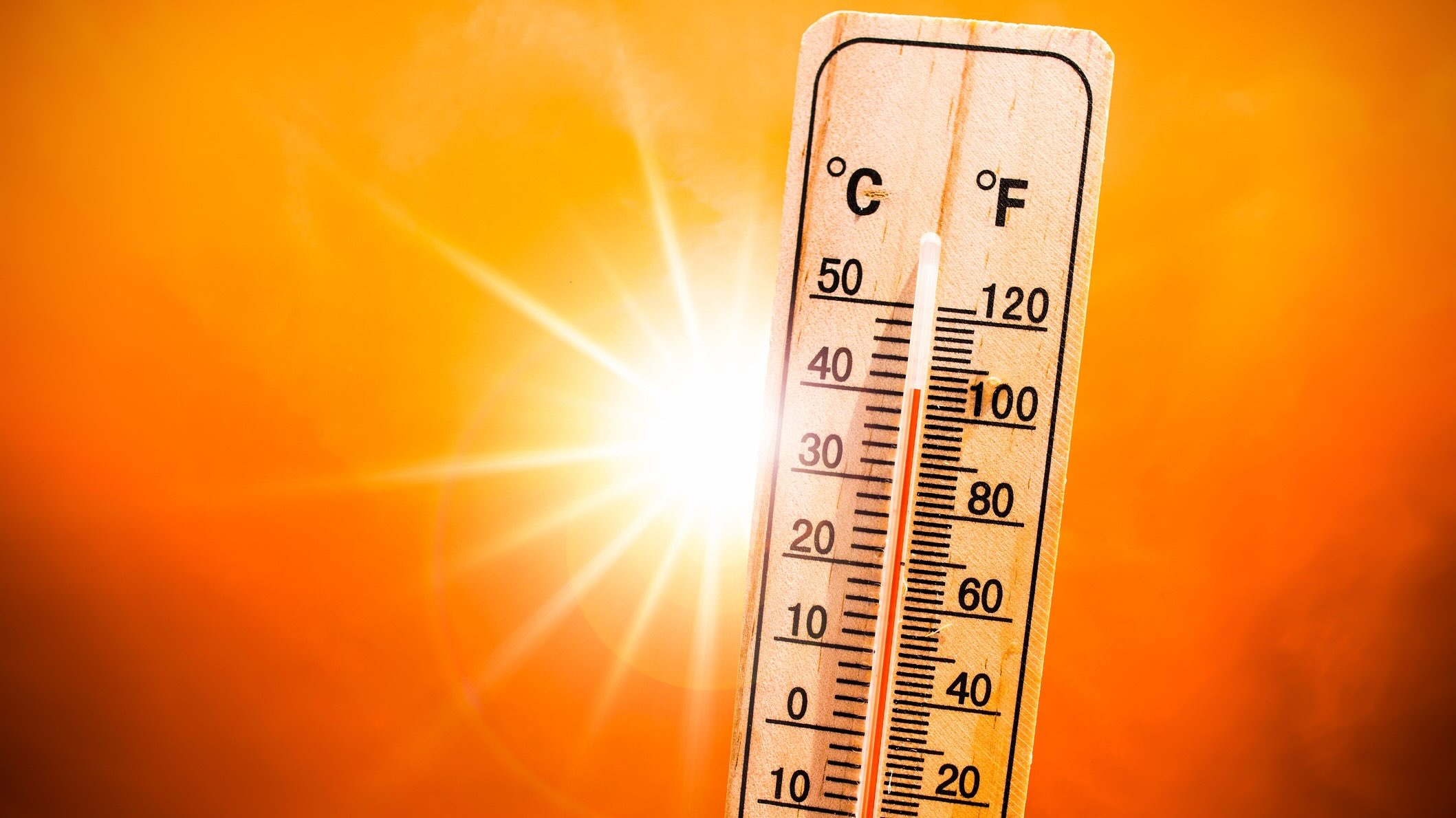 25 Fatti Su Temperatura
