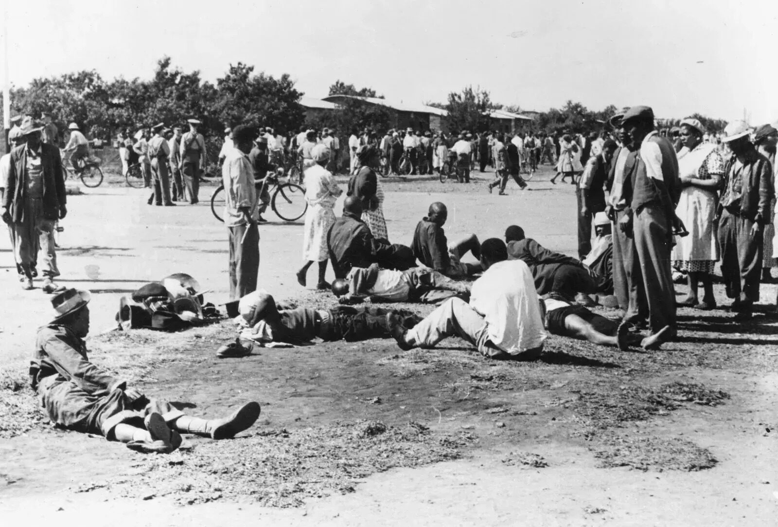 26 Fatti Su Apartheid