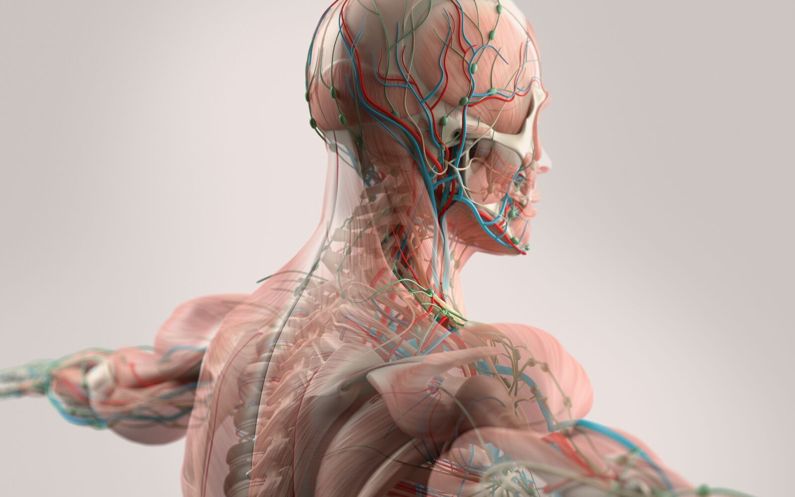 27 Fatti Su Fisiologia
