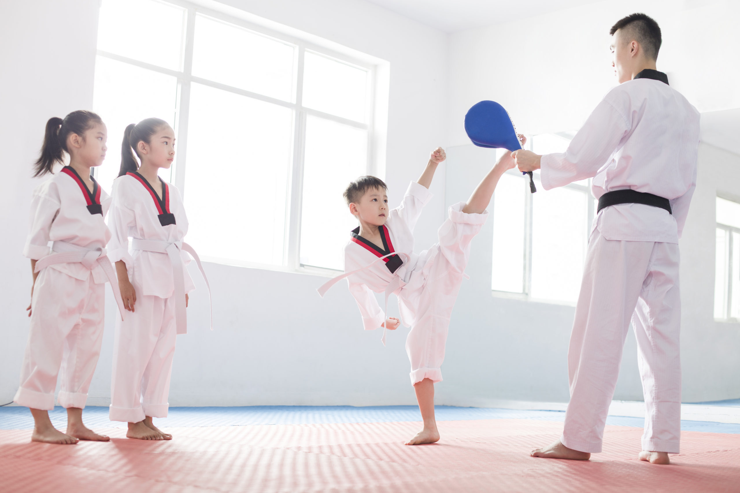 27 Fatti Su Taekwondo
