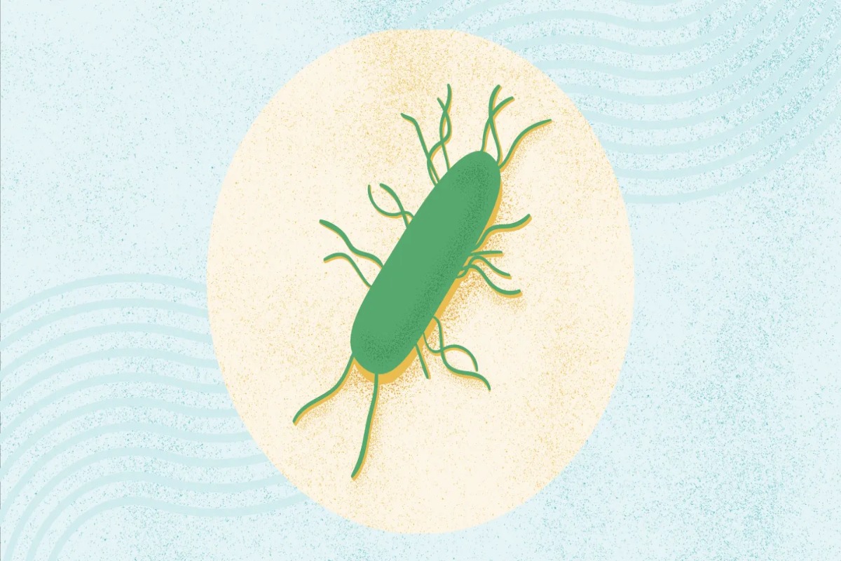 28 Fatti Su Listeria