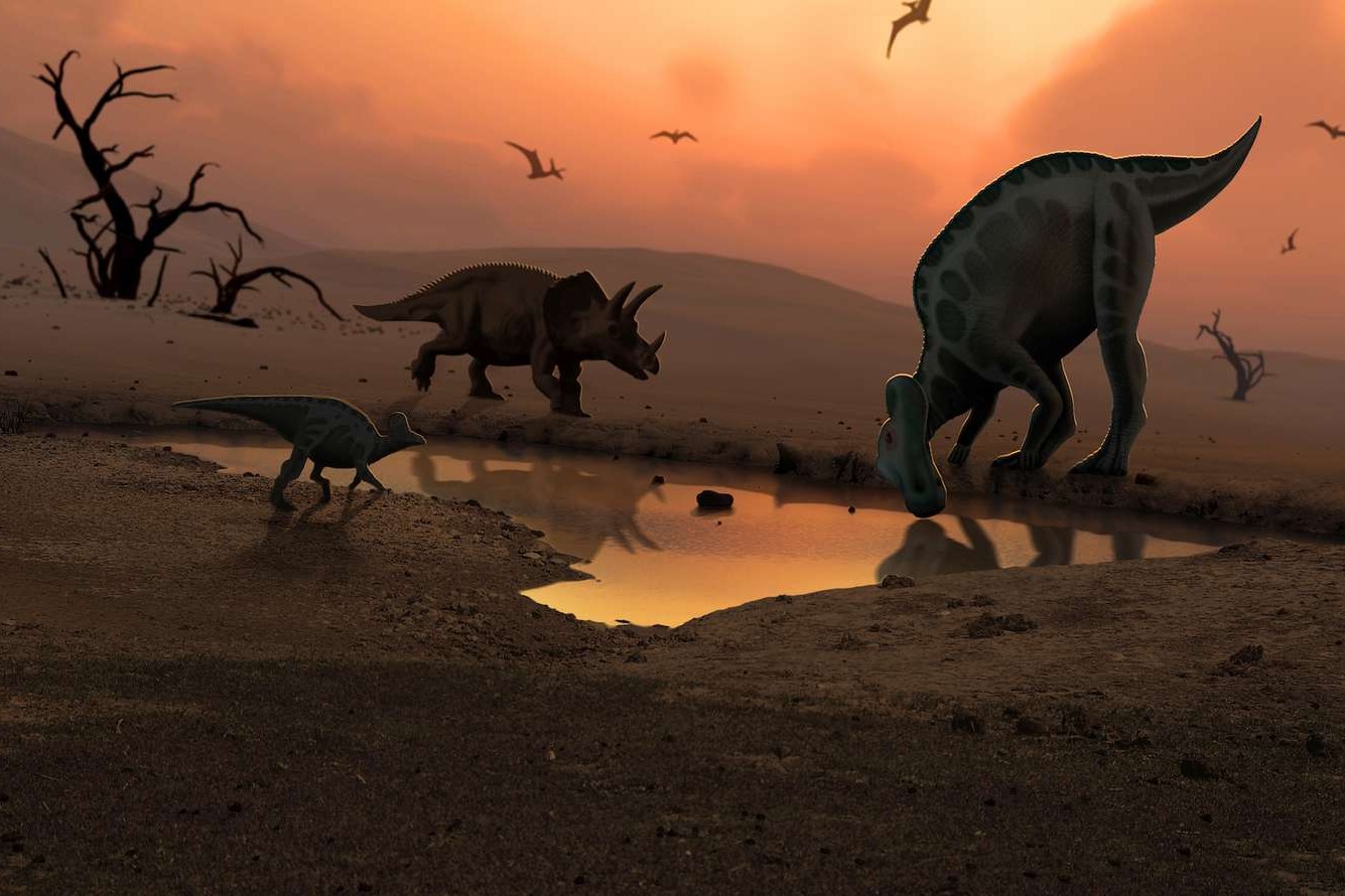 29 Fatti Su Dinosauro