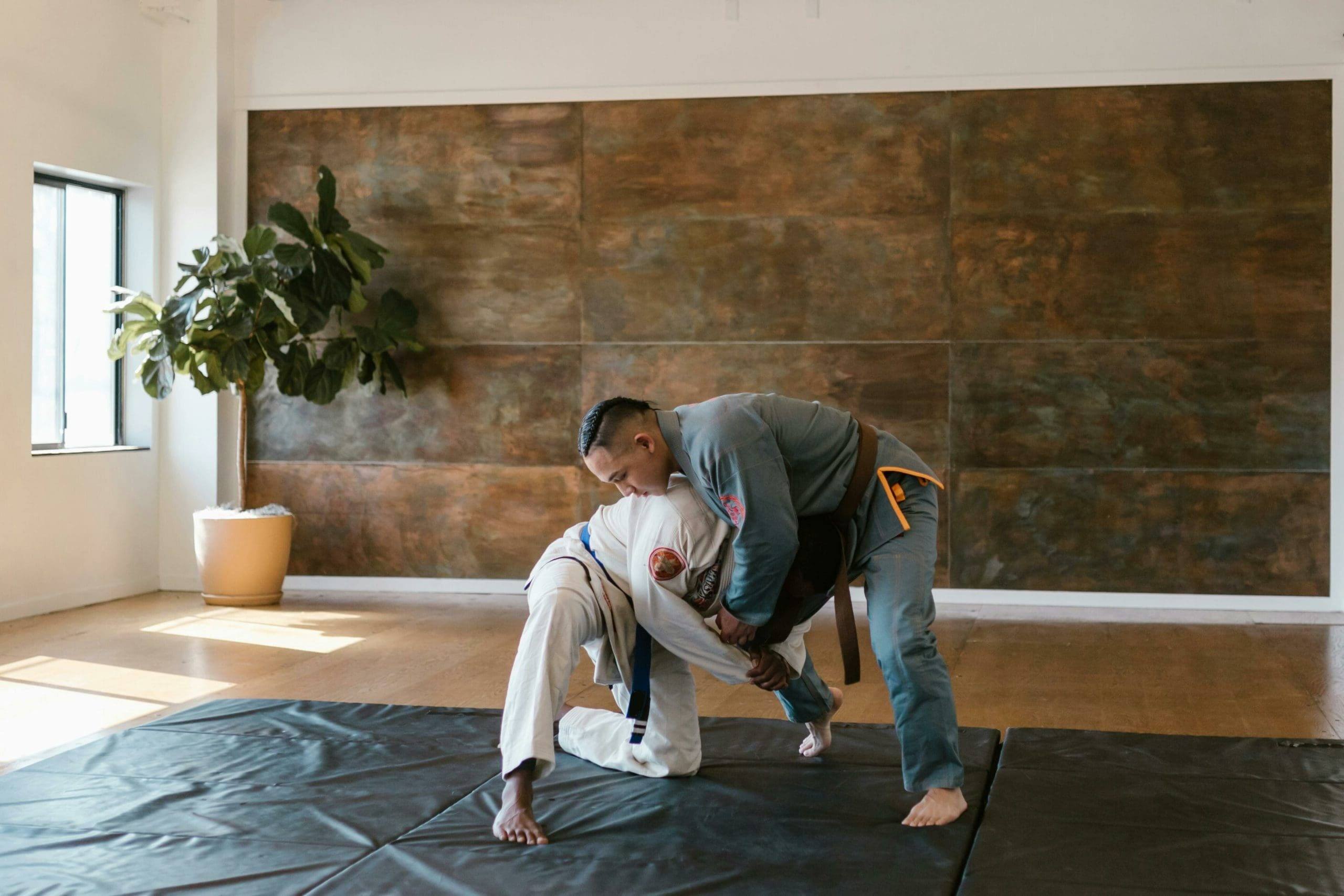 29 Fatti Su Judo