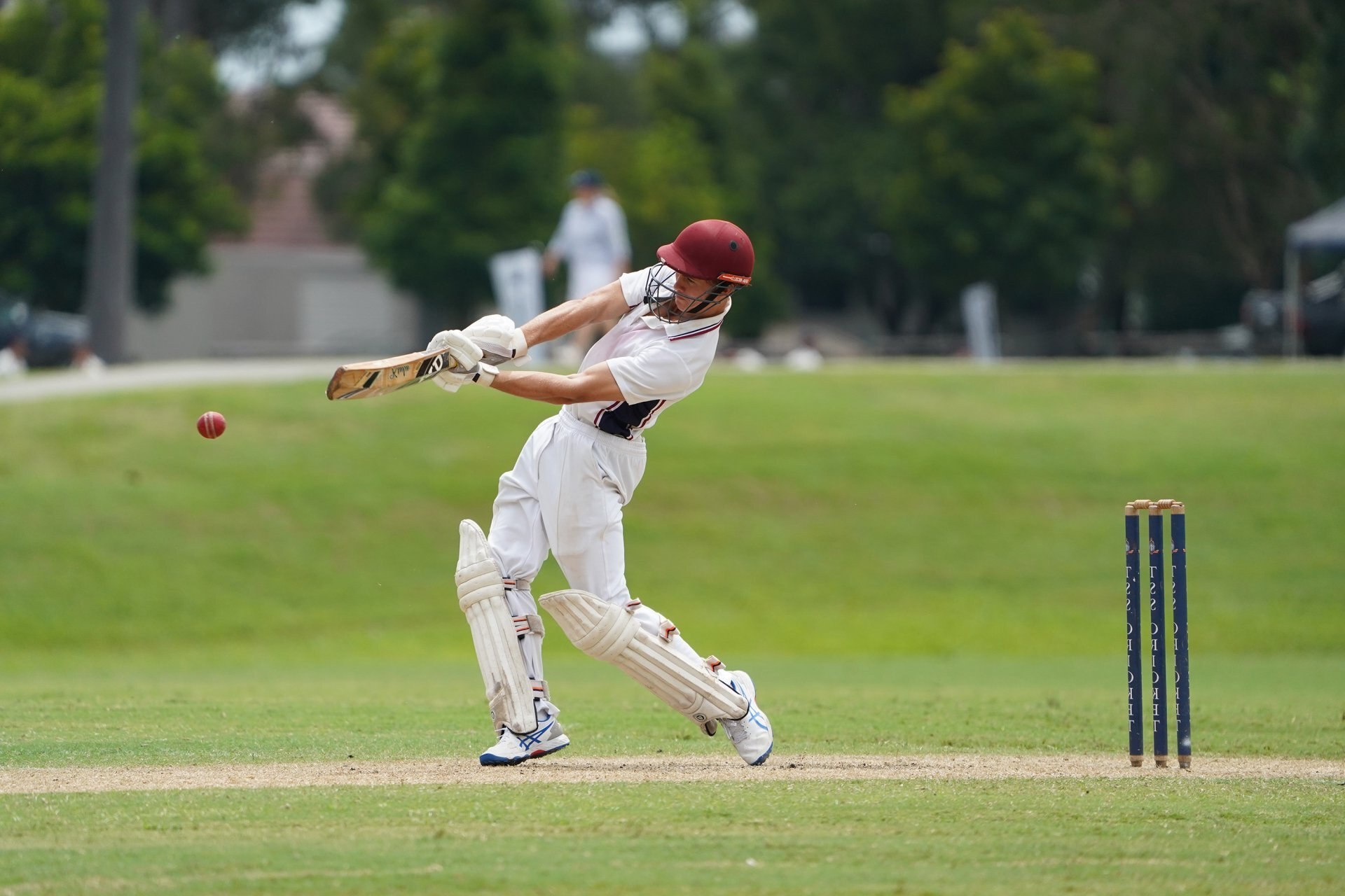 30 Fatti Su Cricket