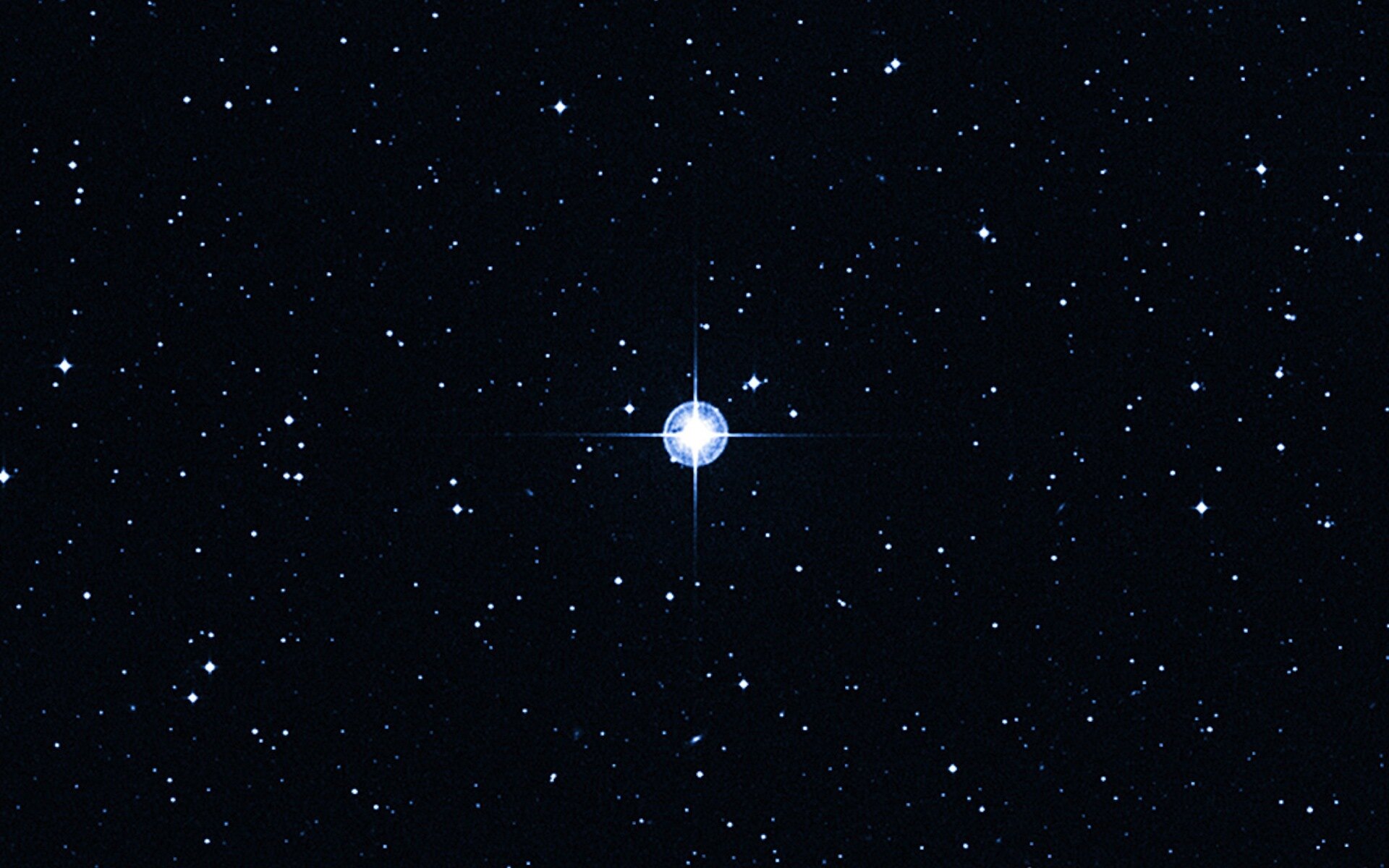 30 Fatti Su Stella