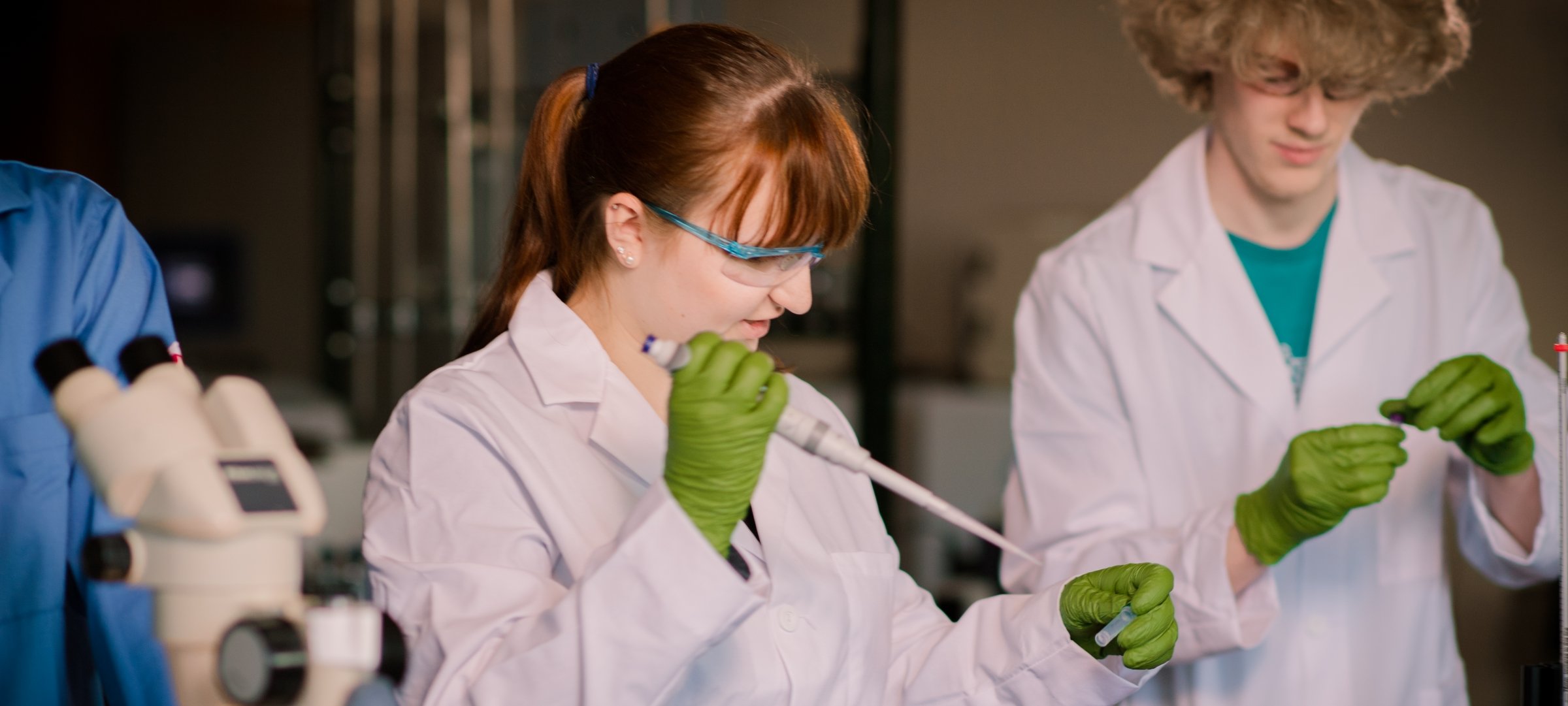 31 Fatti Su Bioinformatica
