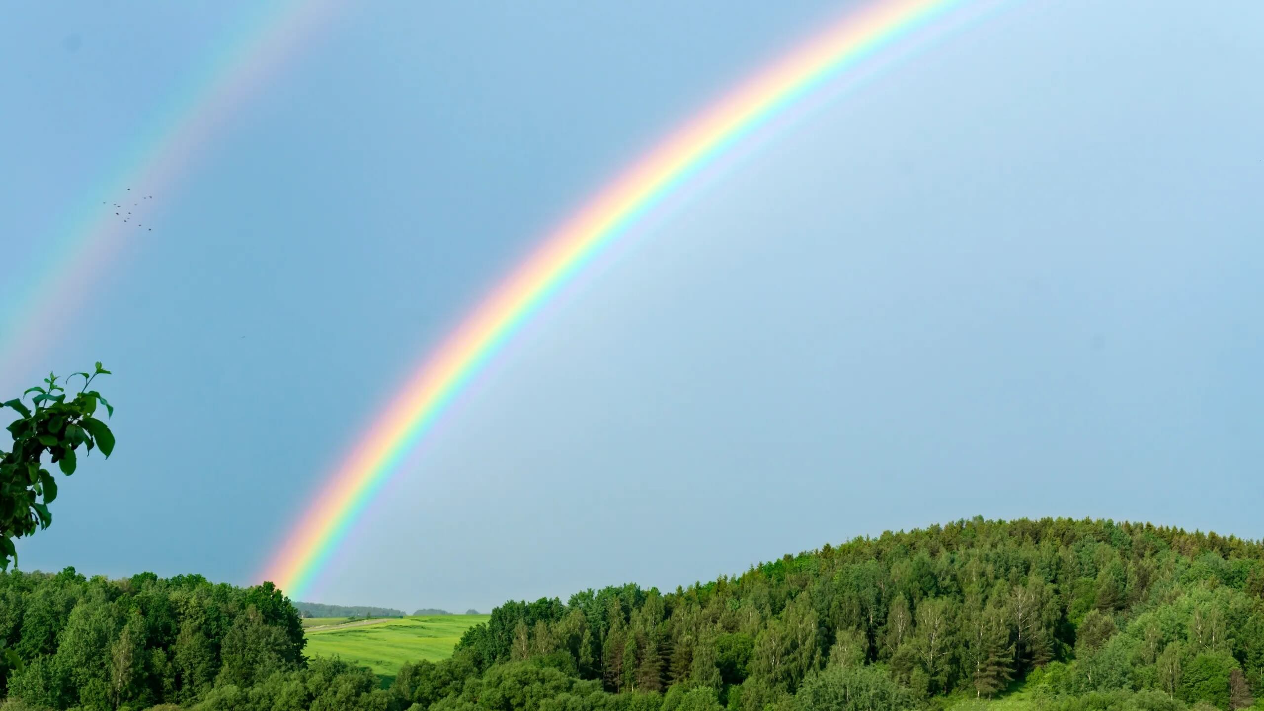 33 Fatti Su Arcobaleno