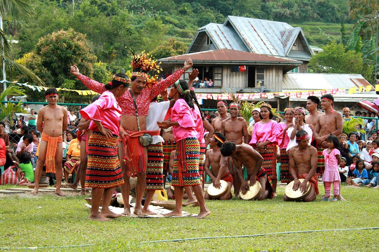 36 Fatti Su Indigeno