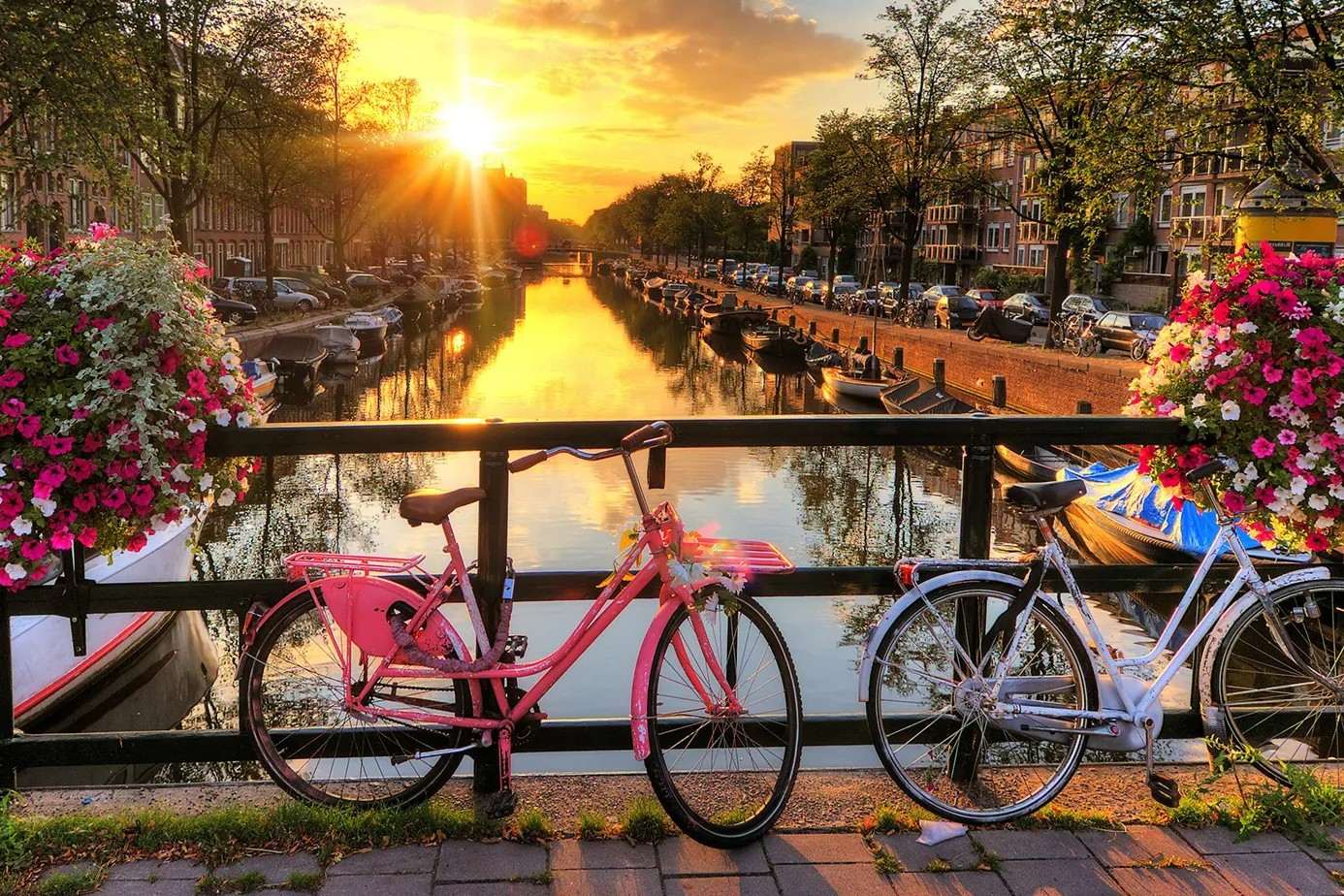 38 Fatti Su Amsterdam